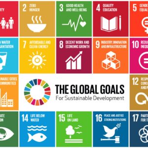 Introducing Sustainable Development in Educational Institutions