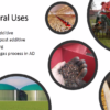 image11 Biochar in Agriculture – Innovative Teaching Approaches for Sustainable Agriculture and Circular Carbon Economy