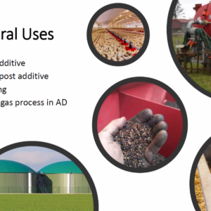 Biochar in Agriculture – Innovative Teaching Approaches for Sustainable Agriculture and Circular Carbon Economy